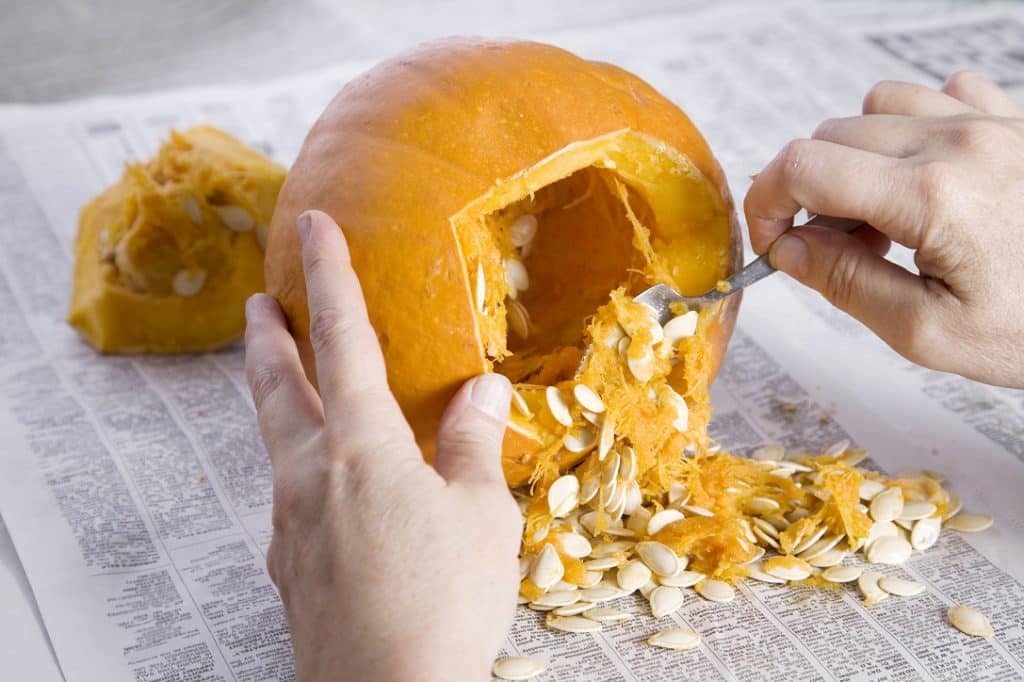 Preventing Halloween Plumbing Clogs while carving pumpkins.